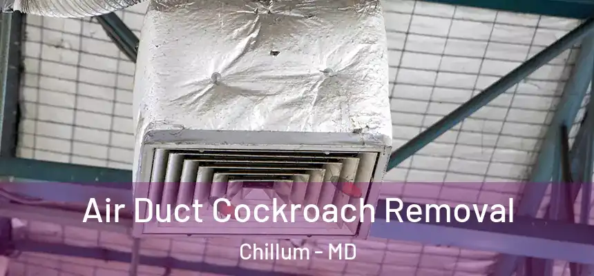  Air Duct Cockroach Removal Chillum - MD