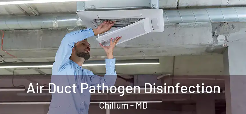  Air Duct Pathogen Disinfection Chillum - MD