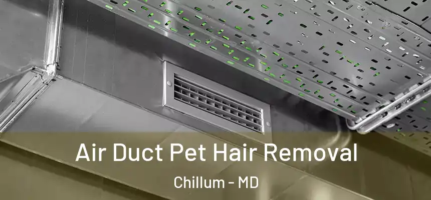  Air Duct Pet Hair Removal Chillum - MD