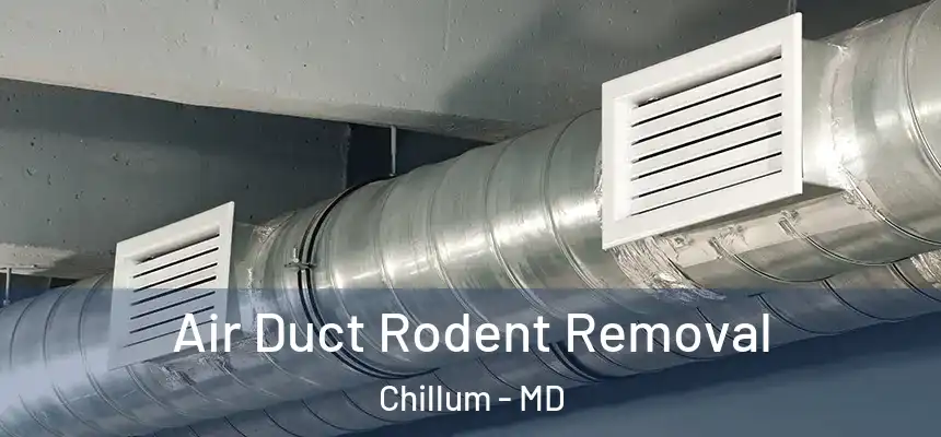  Air Duct Rodent Removal Chillum - MD