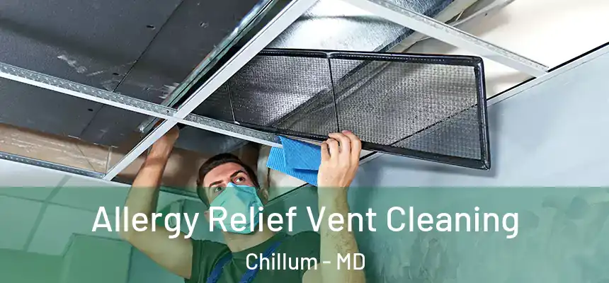  Allergy Relief Vent Cleaning Chillum - MD