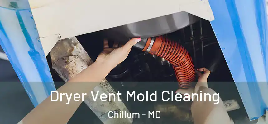 Dryer Vent Mold Cleaning Chillum - MD