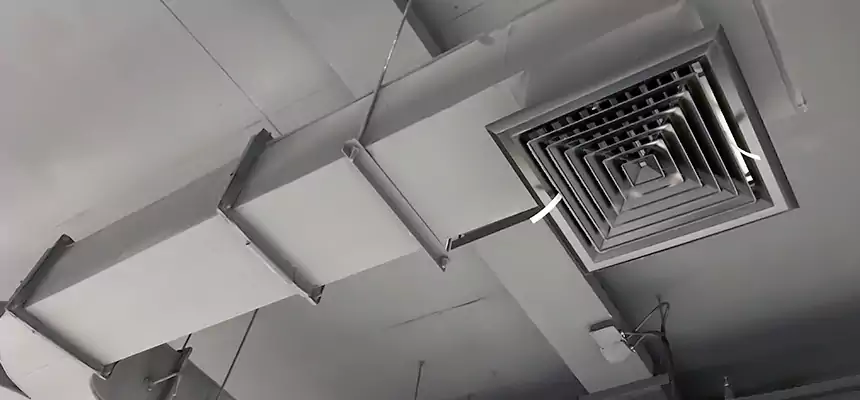 Restorative Allergy Relief Vent Cleaning – Coil, Blower & Housing Detail in Chillum