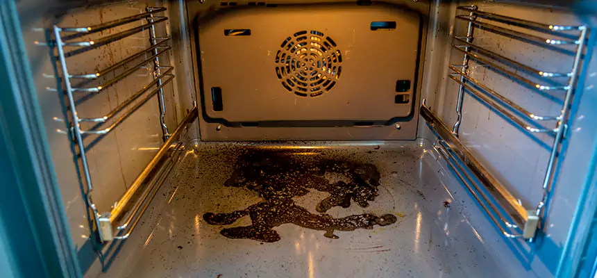 Our Dryer Vent Mold Cleaning Services in Chillum, MD