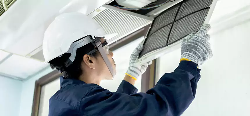 Our Mold & Mildew Removal from Air Ducts Services in Chillum, MD