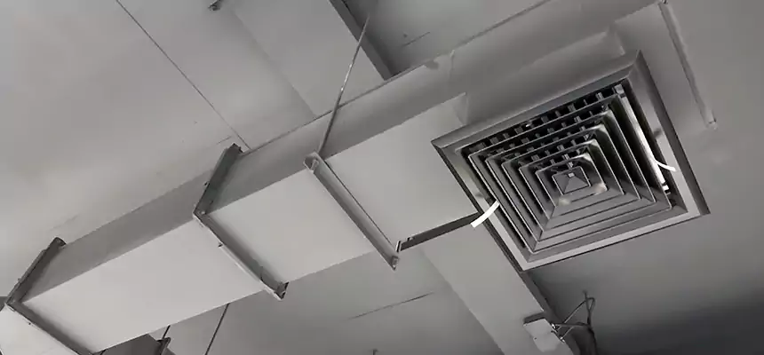 Our Rodent Droppings In Vents Services in Chillum, MD