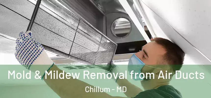 Mold & Mildew Removal from Air Ducts Chillum - MD