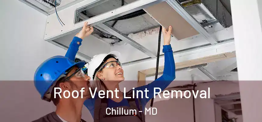  Roof Vent Lint Removal Chillum - MD