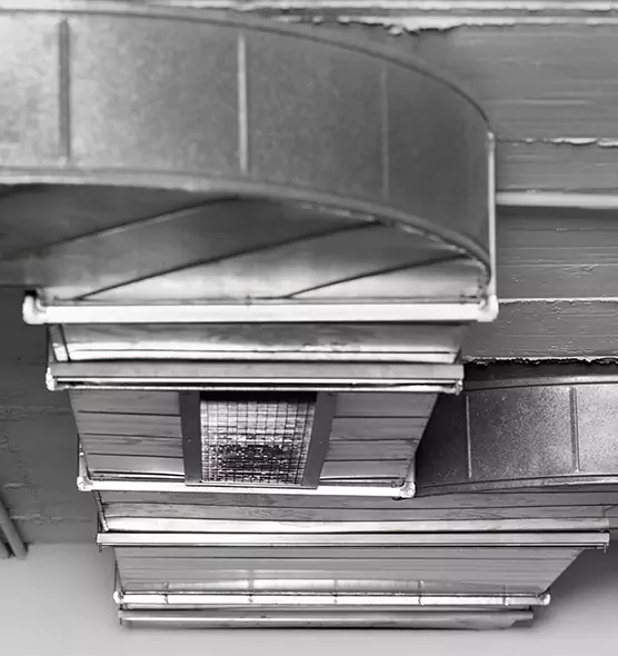 Professional Air Duct Pest Removal in Chillum, MD