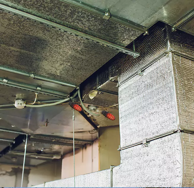 Why Homeowners & Businesses Trust Us in Chillum, MD?