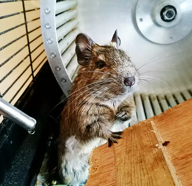 Why Homeowners & Businesses Trust Us Chillum, MD?