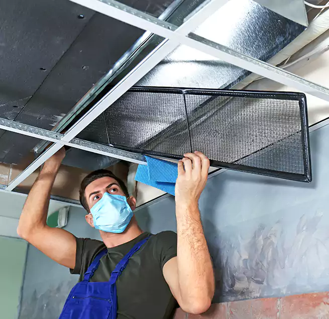 Why Homeowners Businesses Trust Us in Chillum, MD